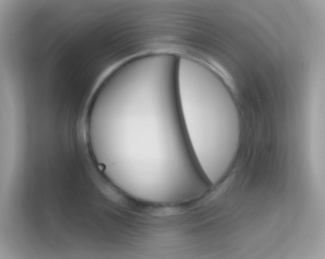 X0000112420891200908141043