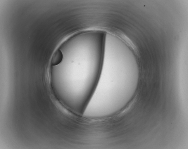 X0000112420892200908141043