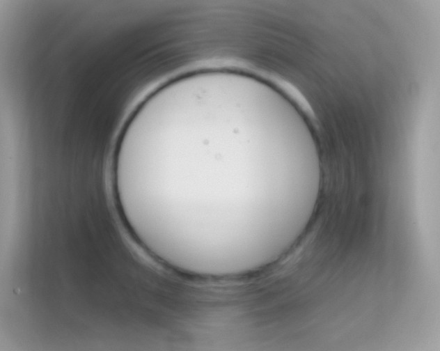 X0000112420895200908141043