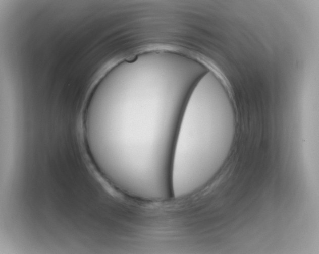 X0000112420898200908141043