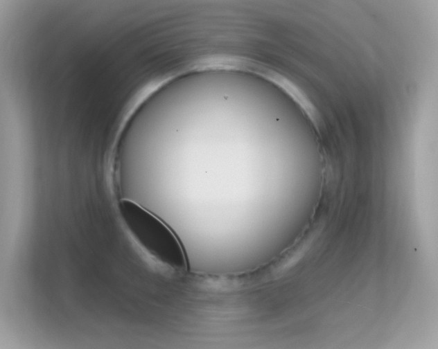 X0000112420901200908141043
