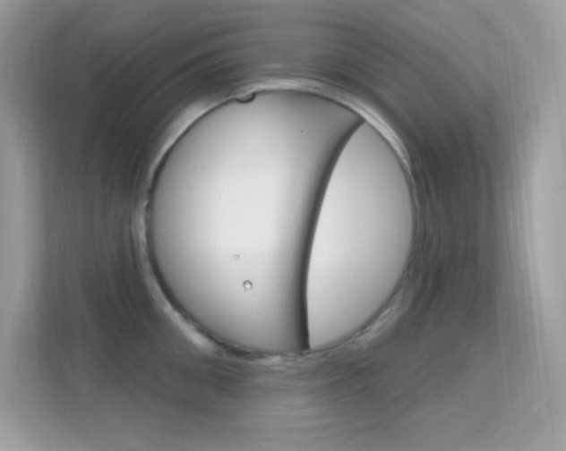 X0000112420906200908141043
