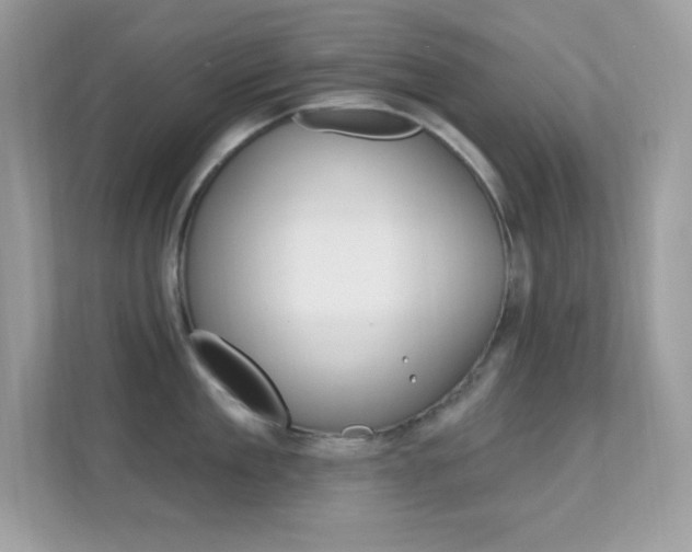 X0000112420909200908141043