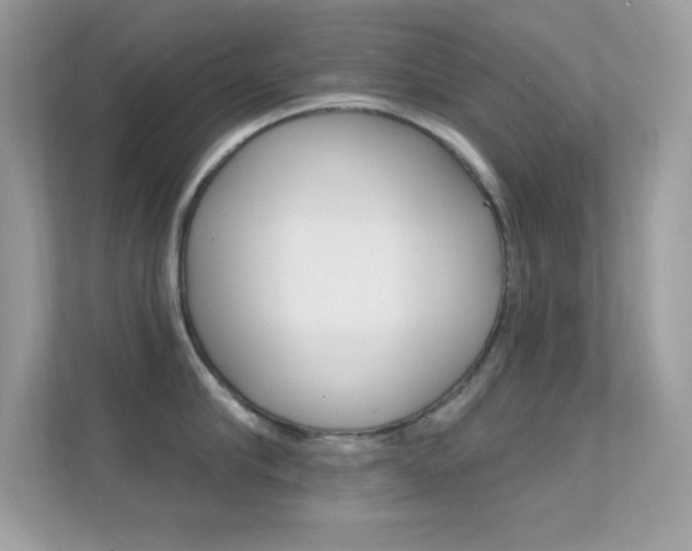 X0000112420910200908141043