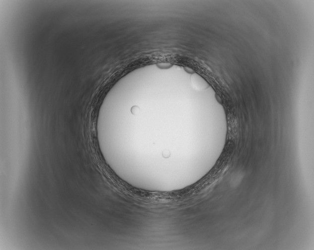 X0000112420913200908141042