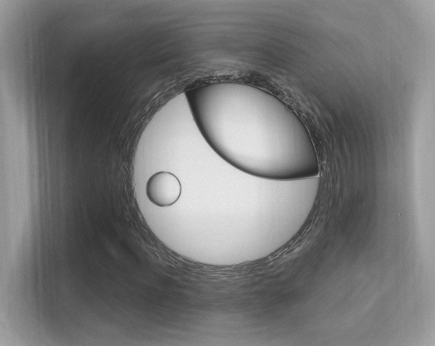 X0000112420916200908141042