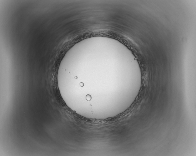 X0000112420917200908141042