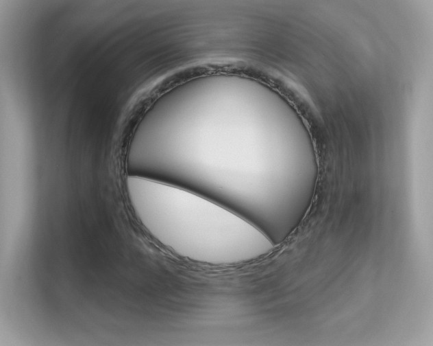 X0000112420920200908141042
