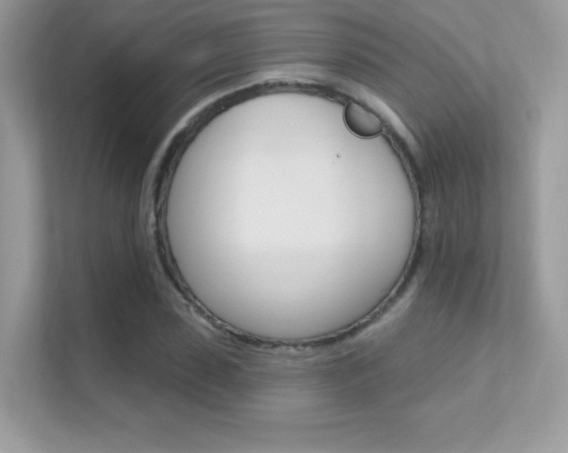 X0000112420923200908141042
