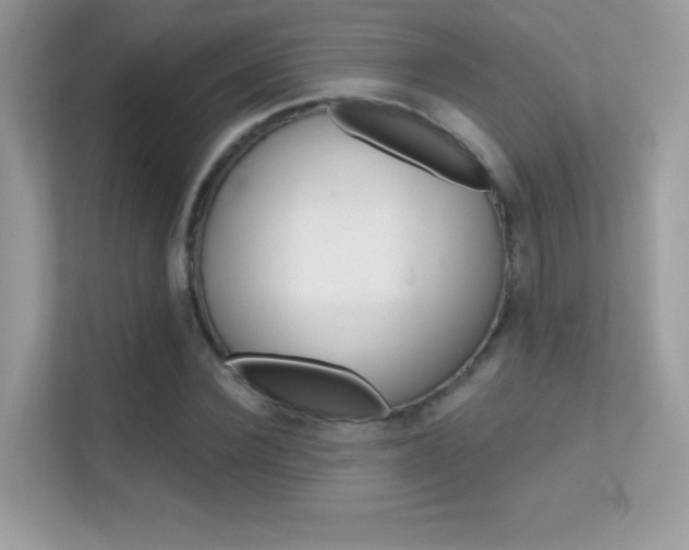 X0000112420924200908141042
