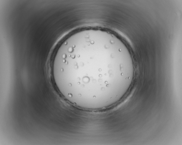 X0000112420925200908141042