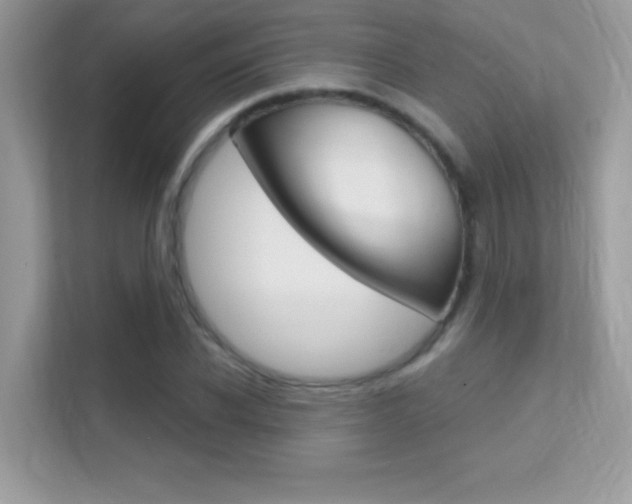 X0000112420926200908141042