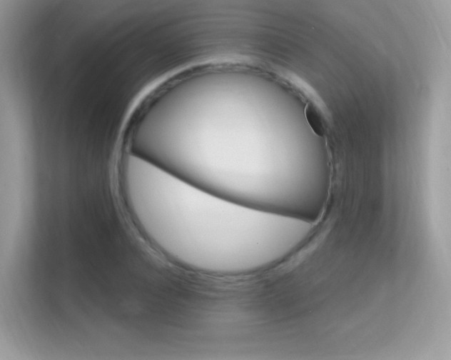 X0000112420928200908141042