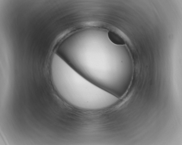 X0000112420930200908141042