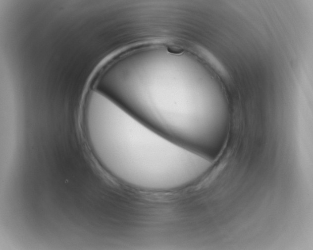 X0000112420932200908141042