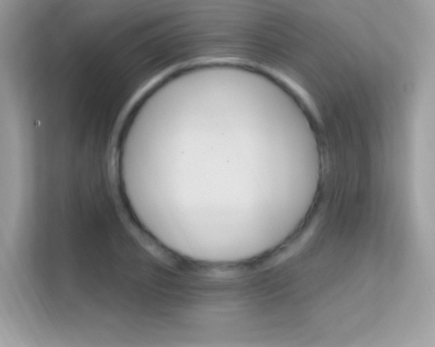 X0000112420933200908141042