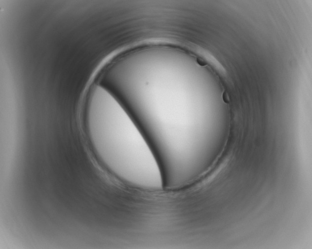 X0000112420934200908141042