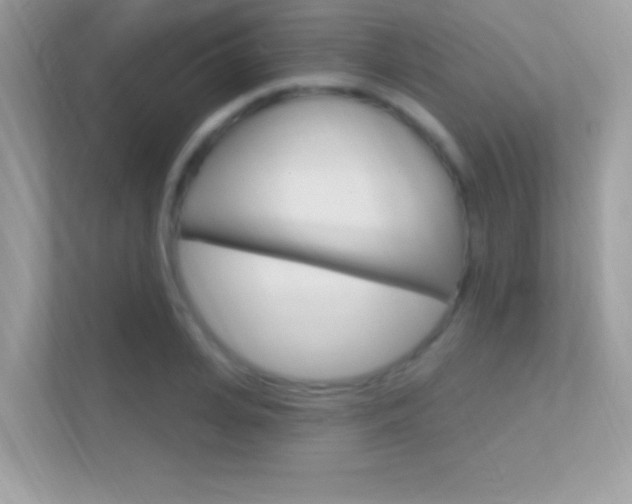 X0000112420935200908141042