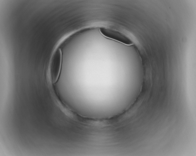 X0000112420936200908141043