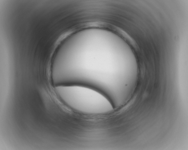 X0000112420938200908141043