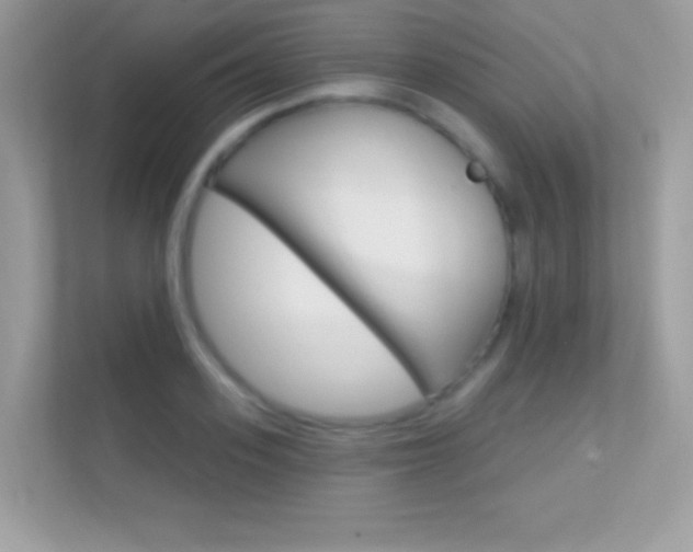X0000112420939200908141043