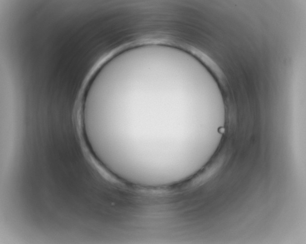 X0000112420941200908141043