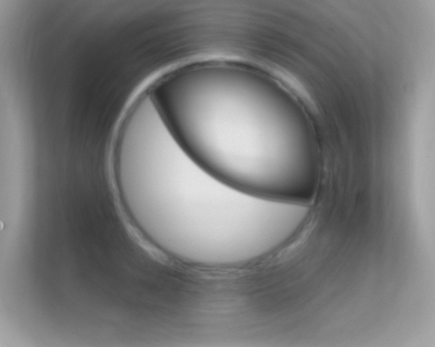 X0000112420942200908141043