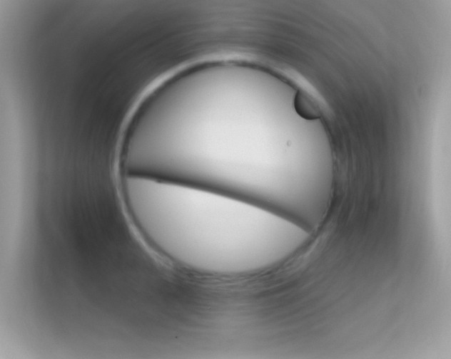 X0000112420943200908141043