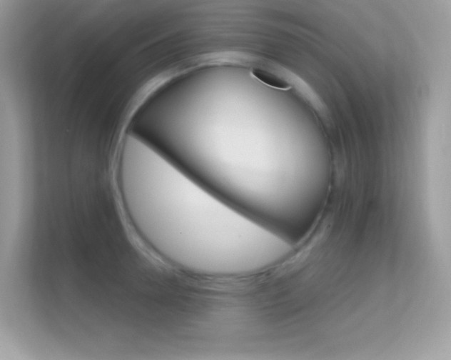 X0000112420946200908141043