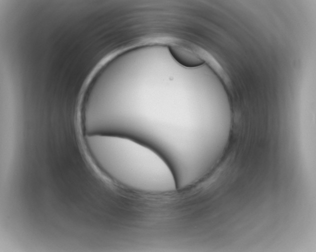 X0000112420947200908141043