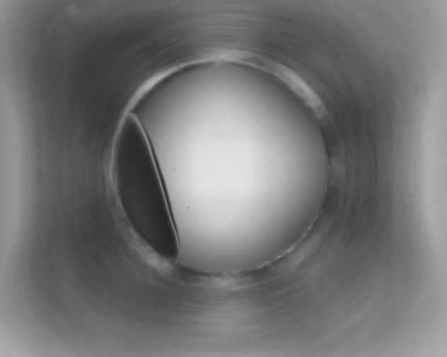 X0000112420948200908141043