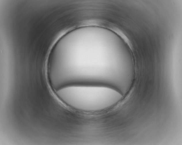 X0000112420949200908141043