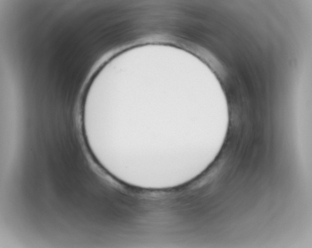 X0000112420950200908141043