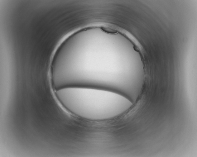 X0000112420951200908141043