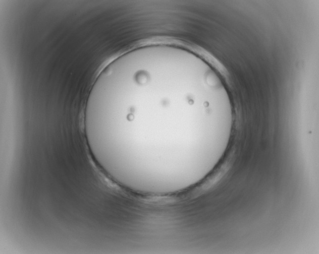 X0000112420953200908141043
