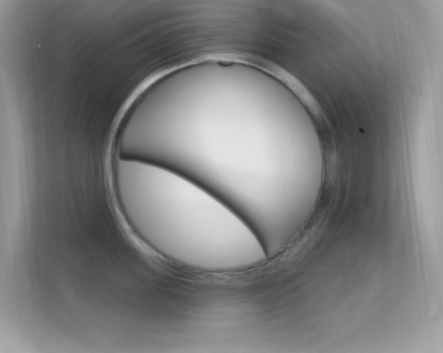 X0000112420955200908141043