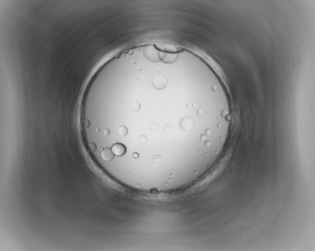 X0000112420957200908141043