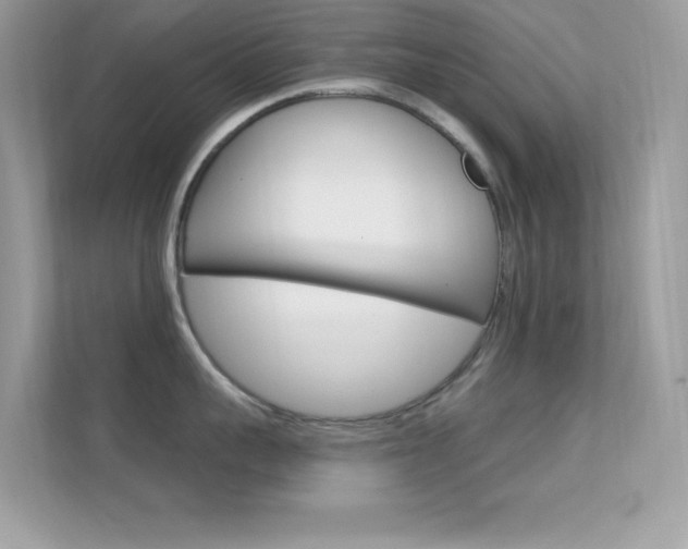 X0000112420959200908141043
