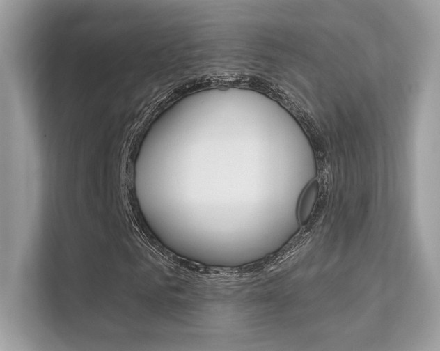 X0000112420961200908141042