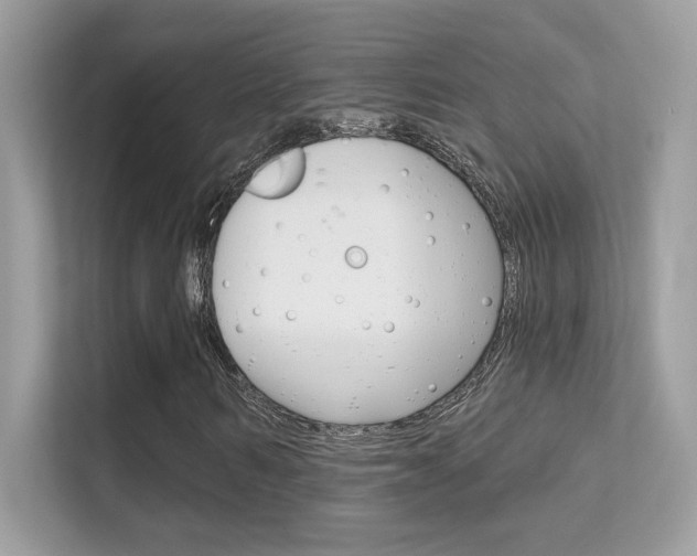 X0000112420962200908141042