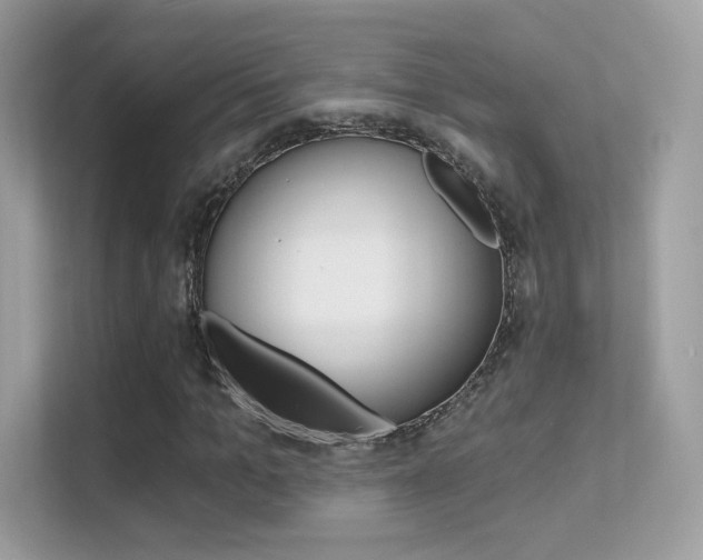 X0000112420965200908141042