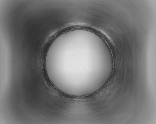 X0000112420967200908141042