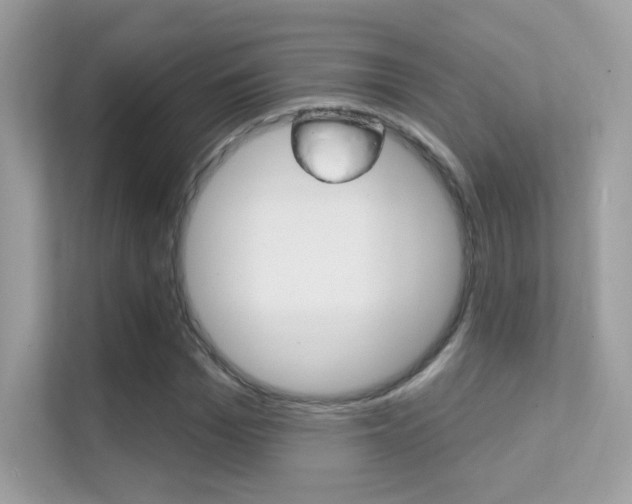 X0000112420969200908141042