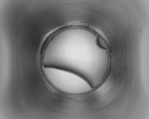 X0000112420971200908141042