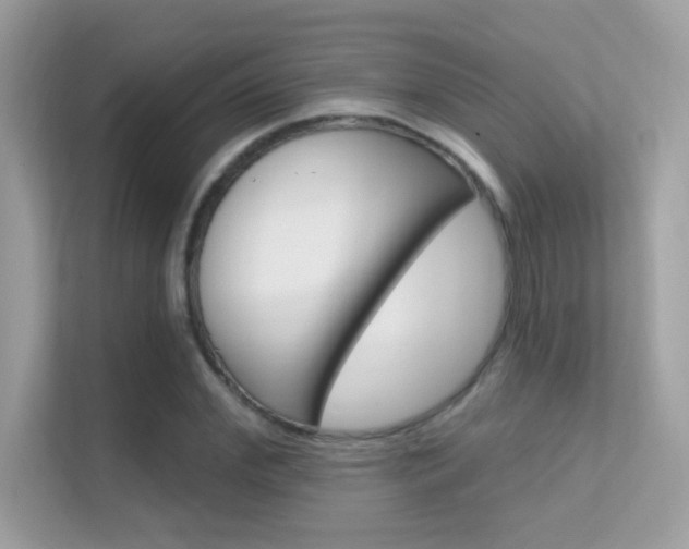 X0000112420972200908141042