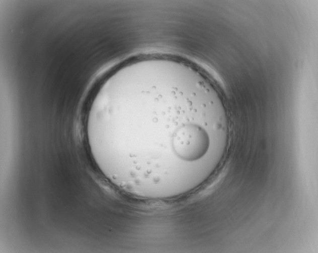 X0000112420974200908141042