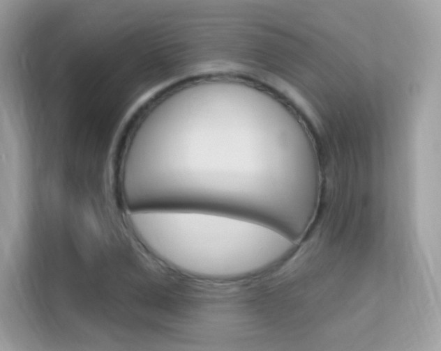 X0000112420975200908141042