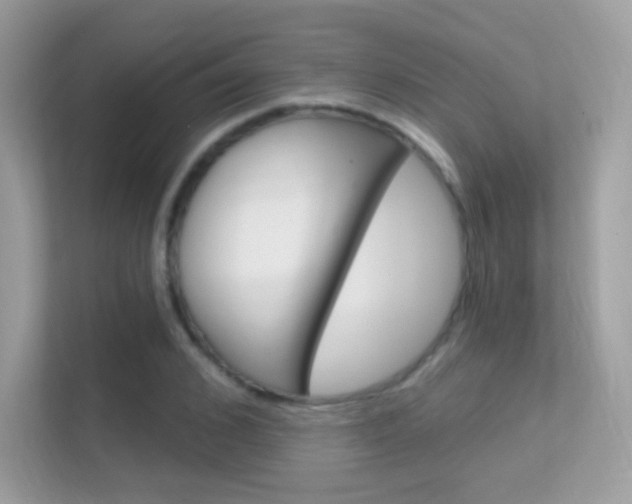 X0000112420976200908141042