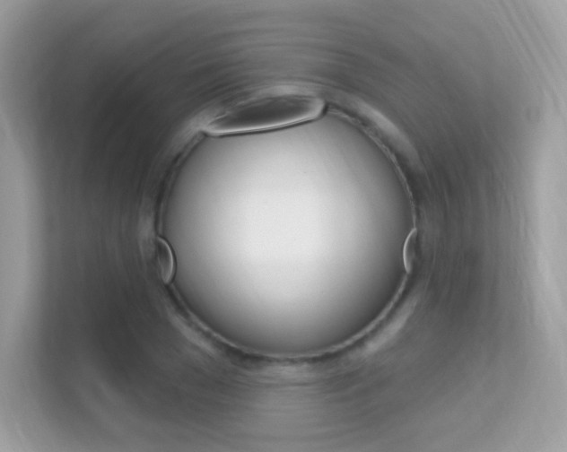 X0000112420977200908141042