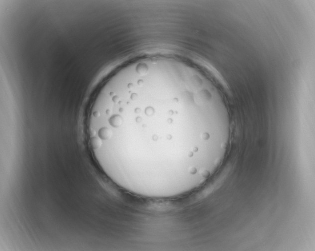 X0000112420978200908141042